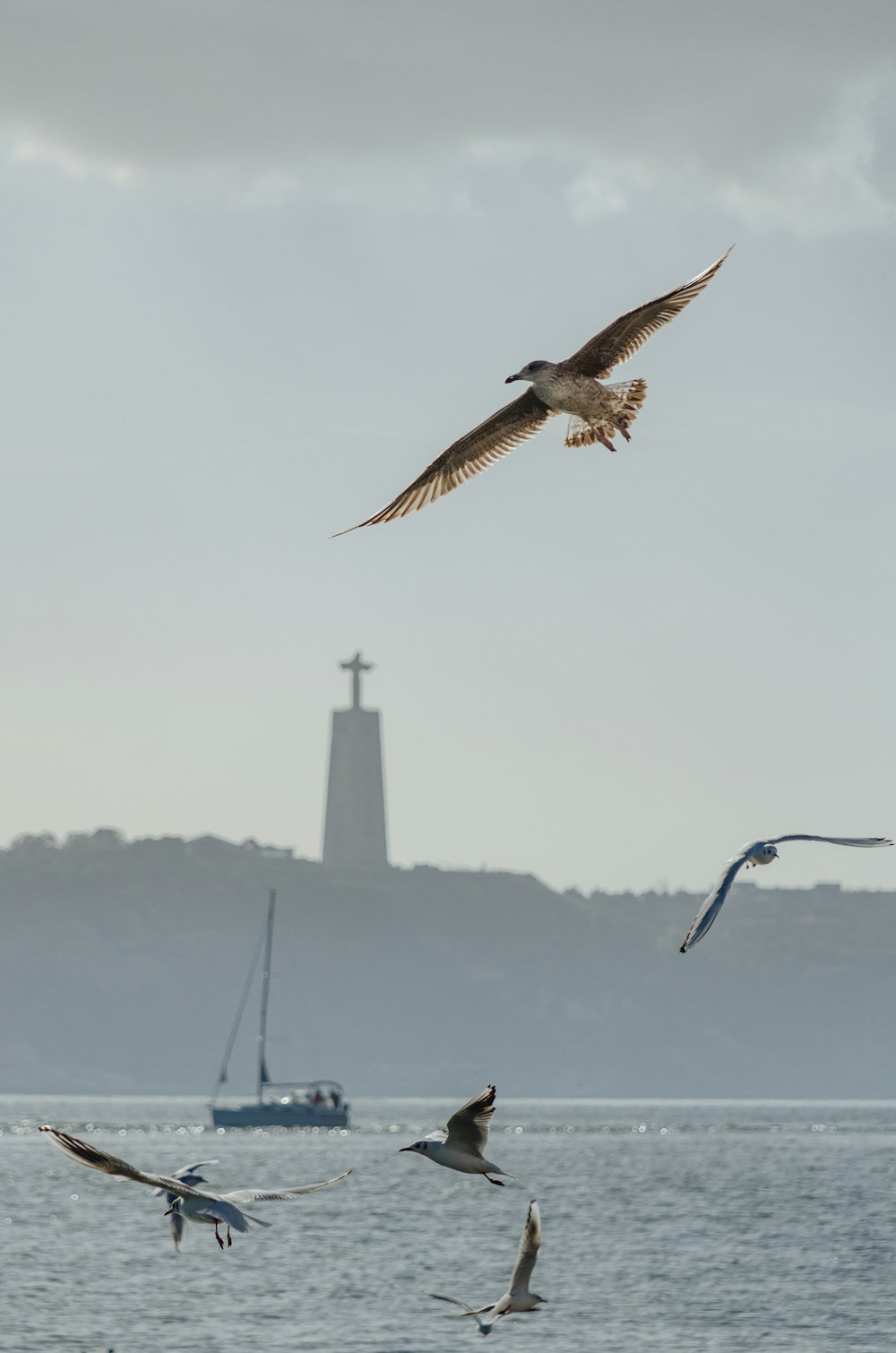 a flock of birds flying over a body of water