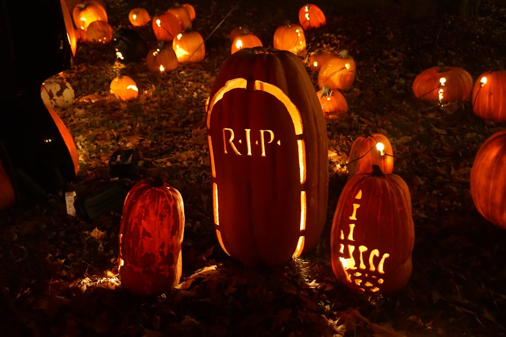 pumpkin squash decor