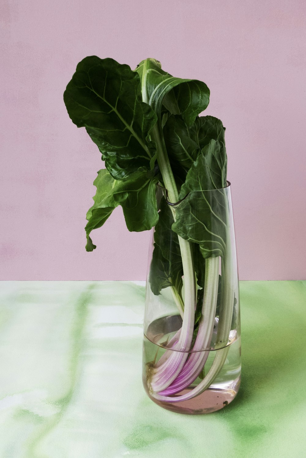 bunch of green leafy vegetable in a clear glass vase
