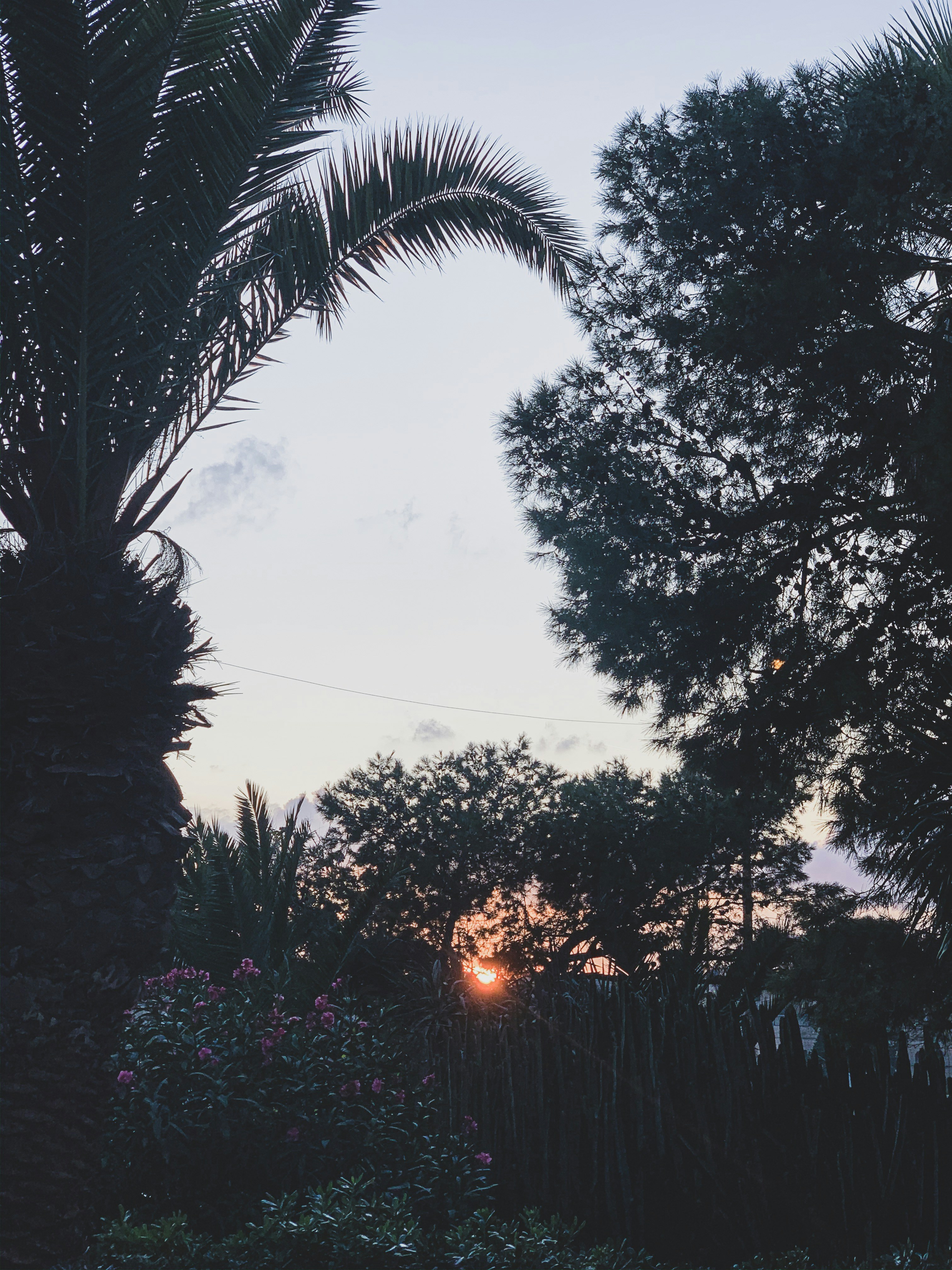 Photo by dxtr90