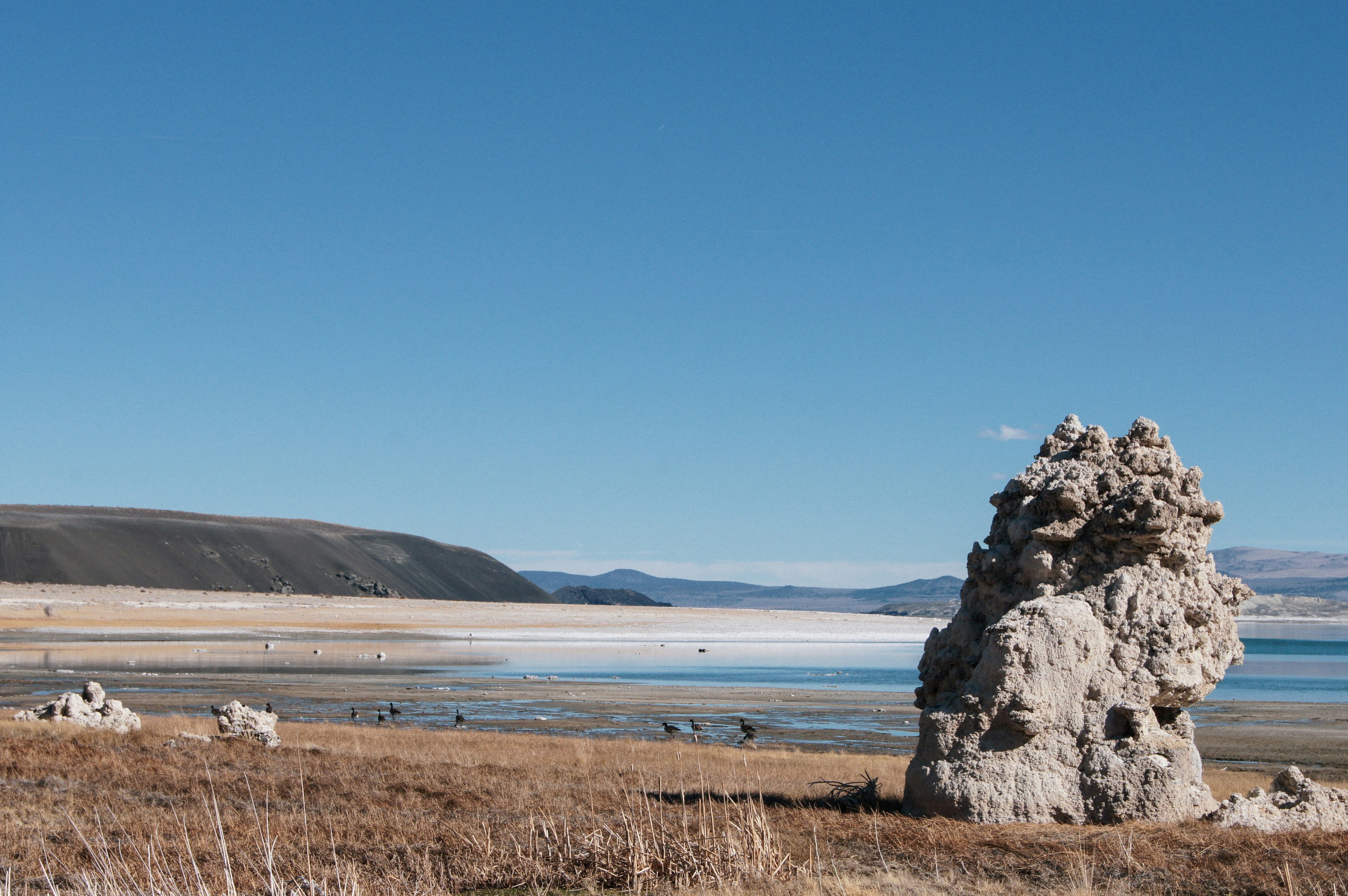 Photo by adrianna_terlikowska