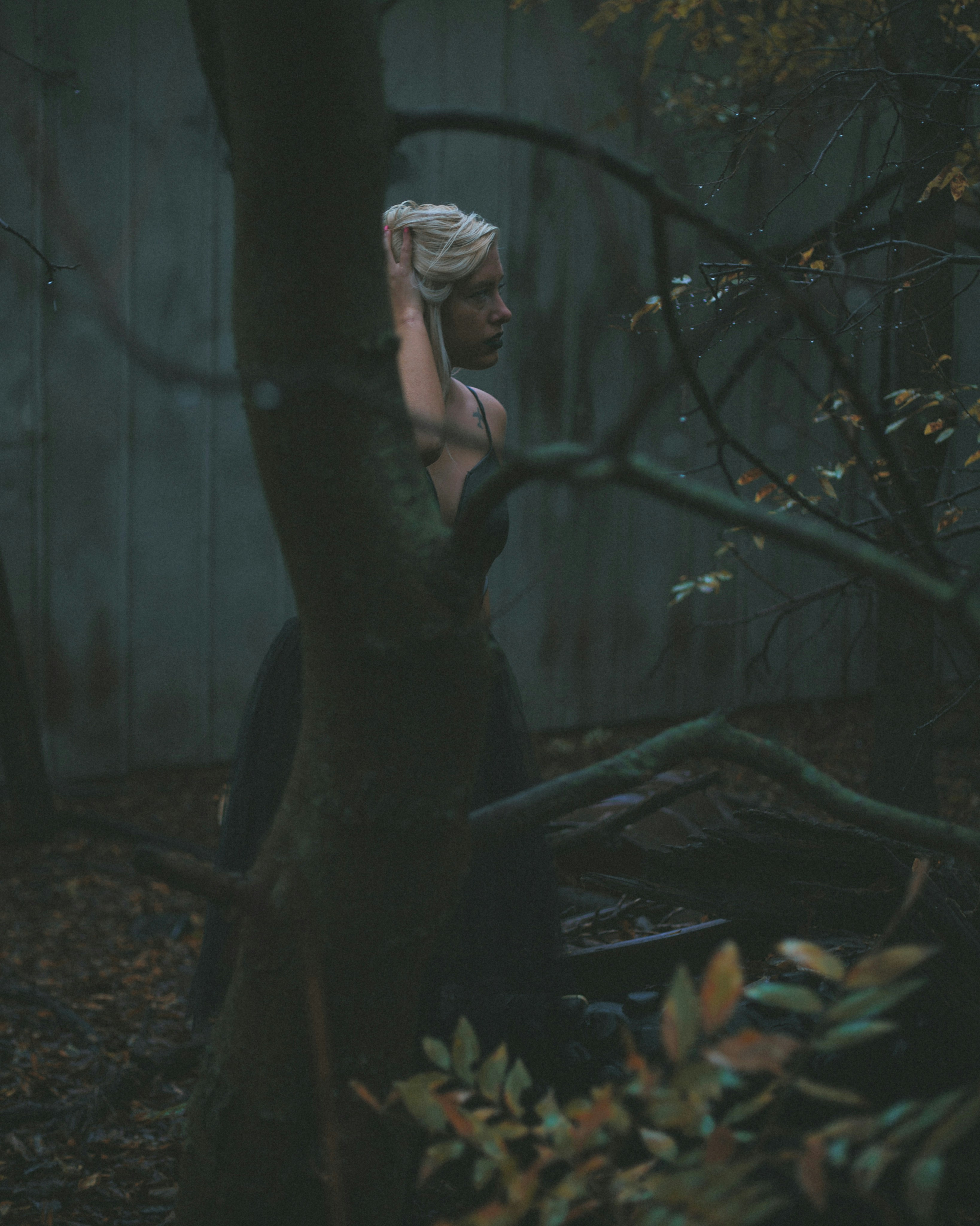 Photo by toddgodley