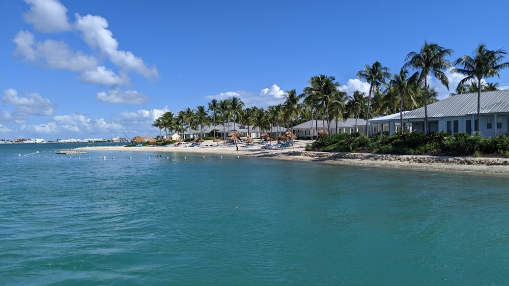 beach at daytime