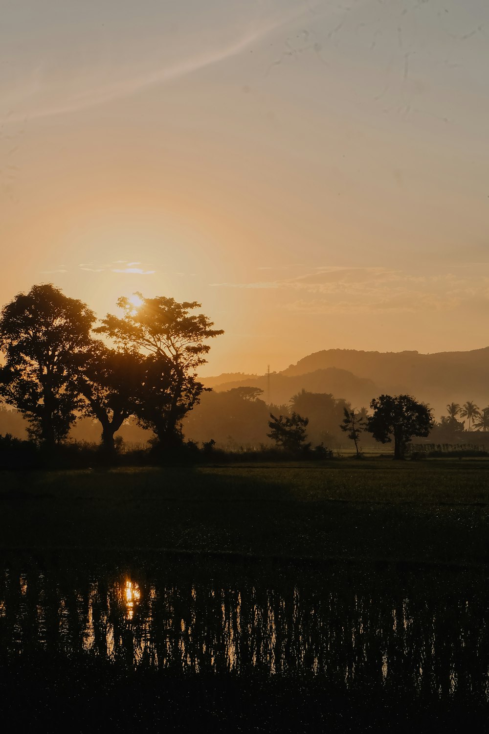 green field at sunrise