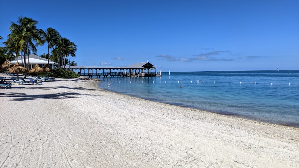 beach at daytime