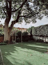 empty field and wing during daytime