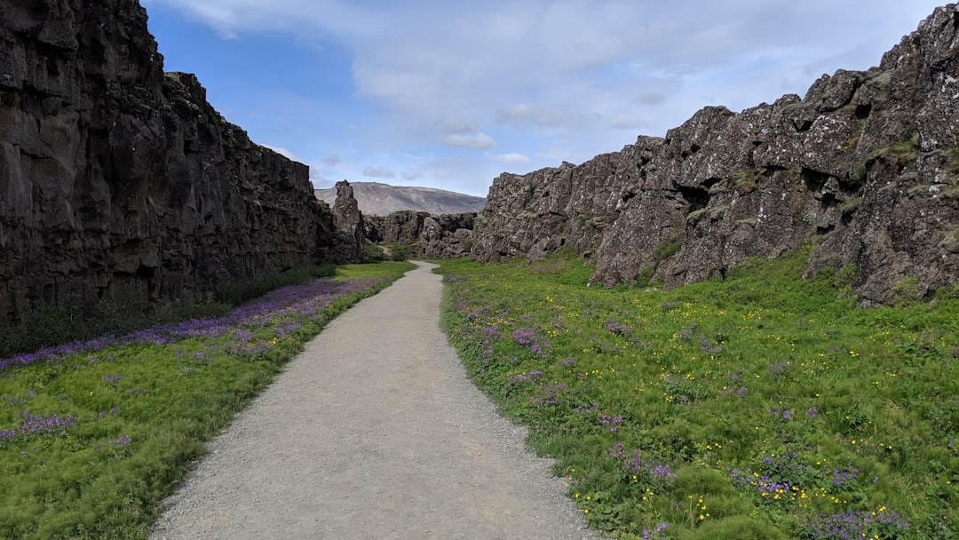 Nature reserve photo spot Thingvellir Iceland