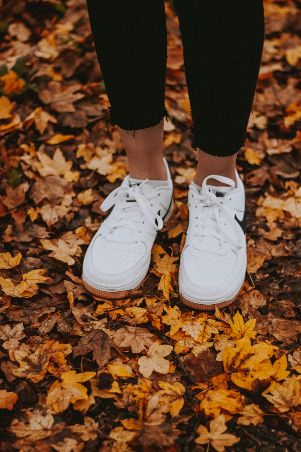 woman in white Nike shoes standing on dried leaves ground photo – Free France Image Unsplash