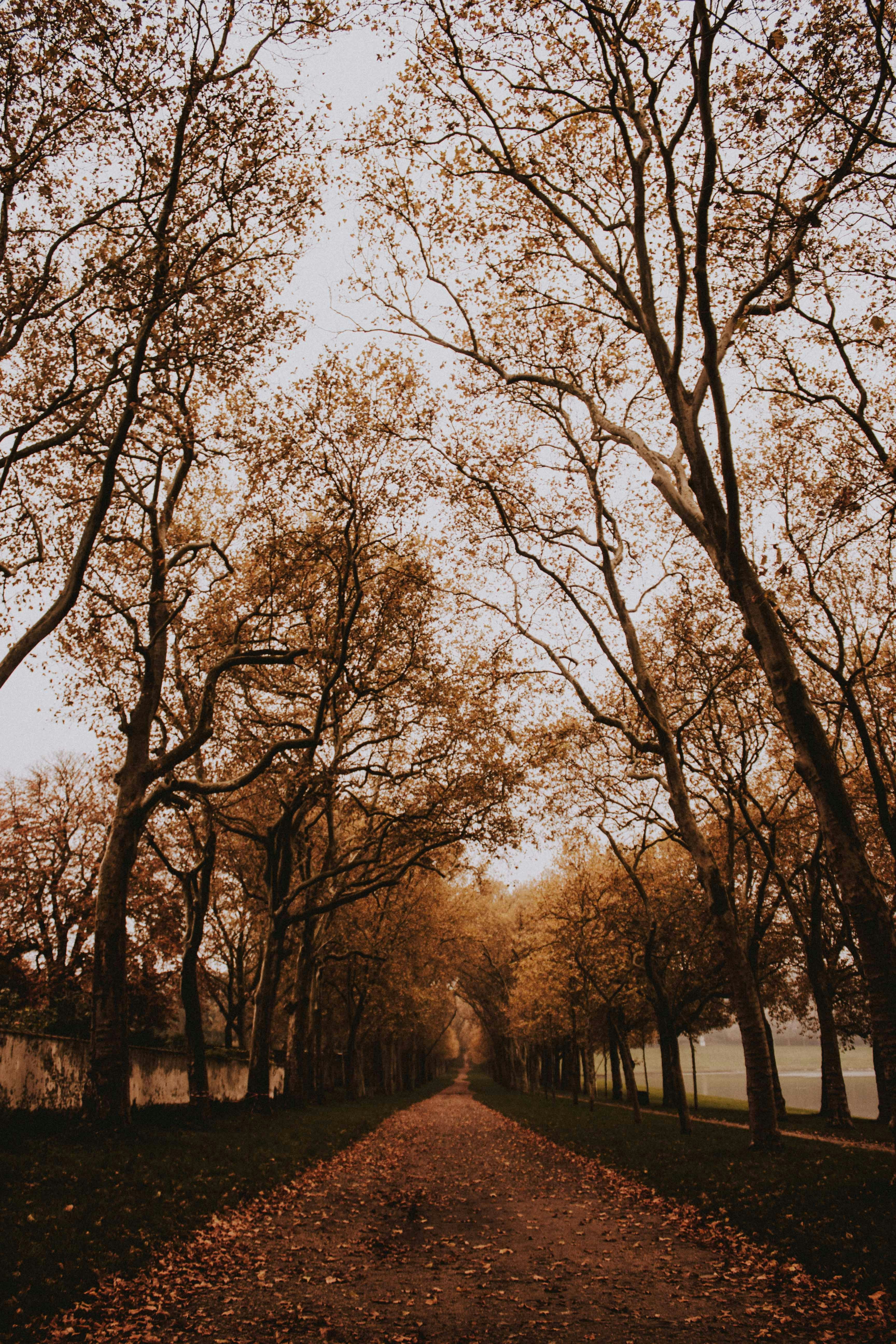 Photo by matreding