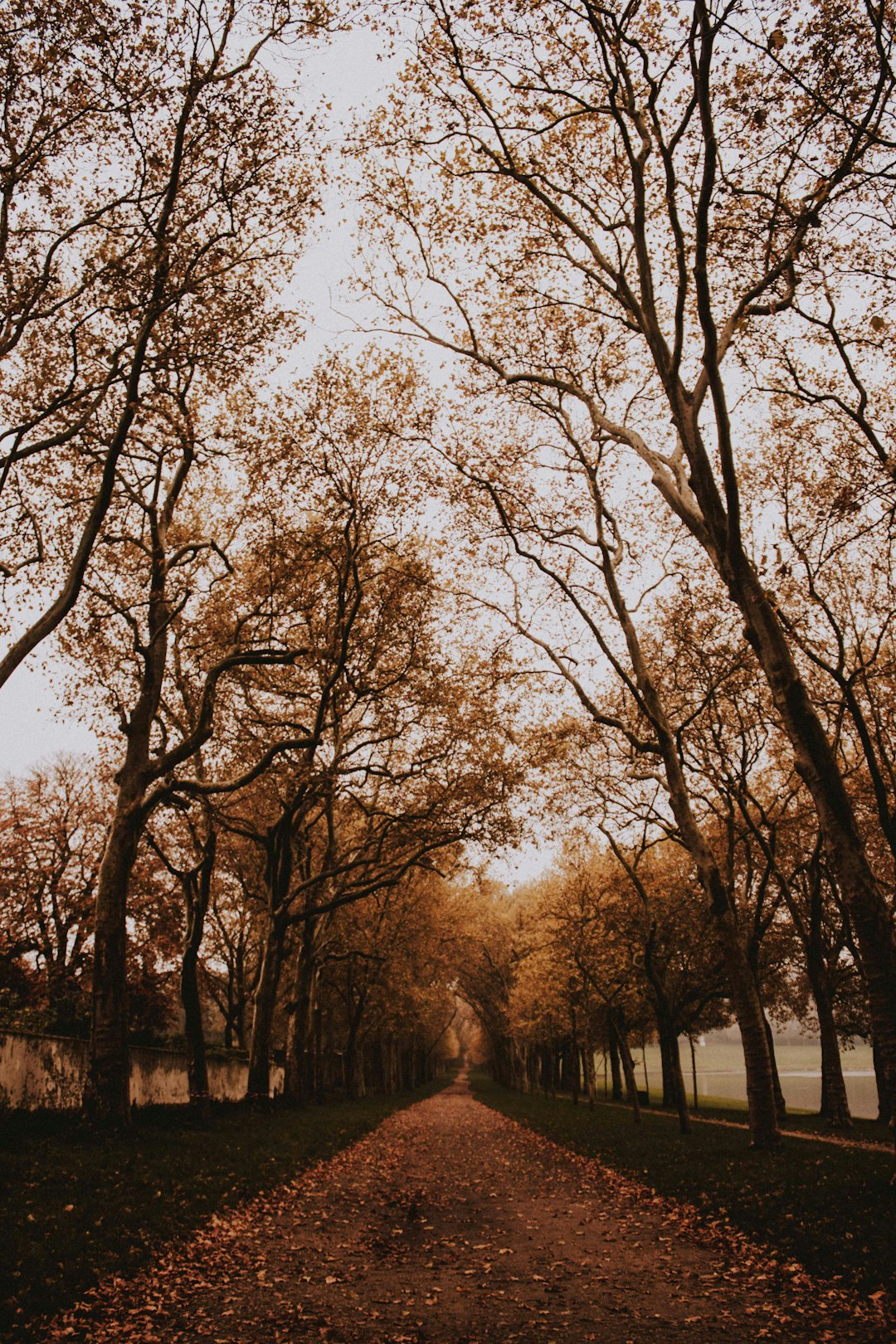 Forest photo spot Versailles 72 Boulevard de Port-Royal