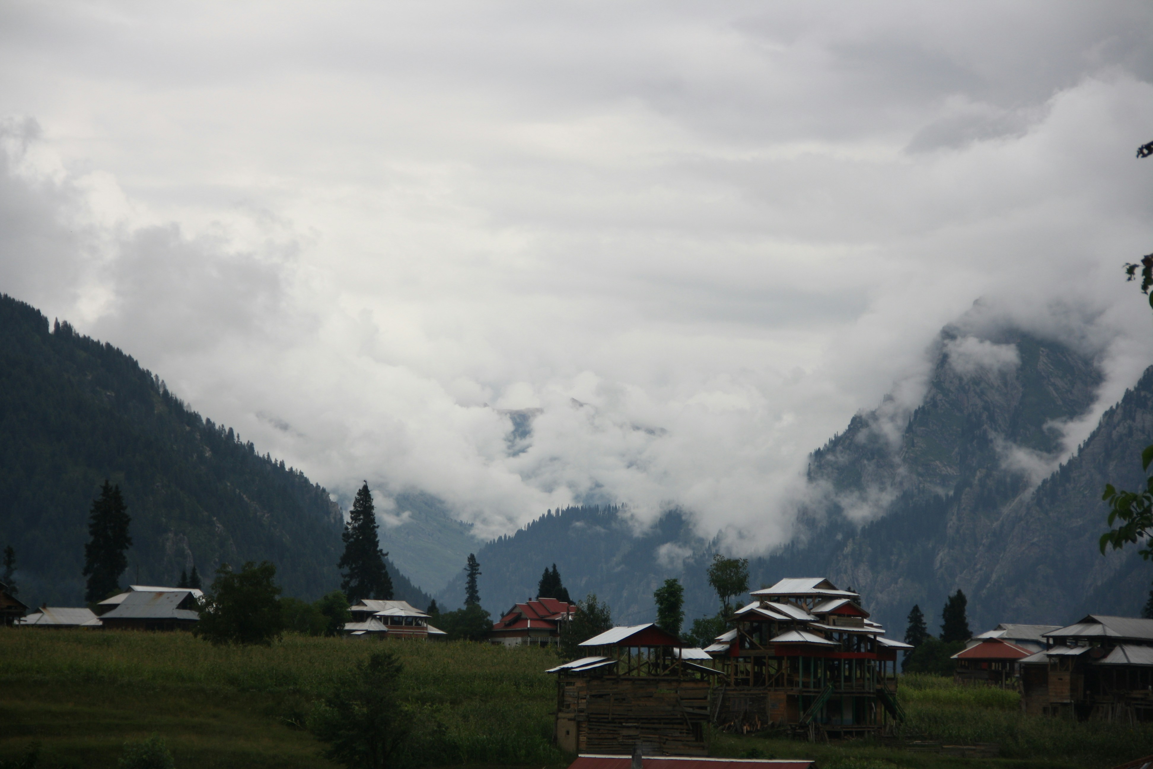 Photo by haroon14