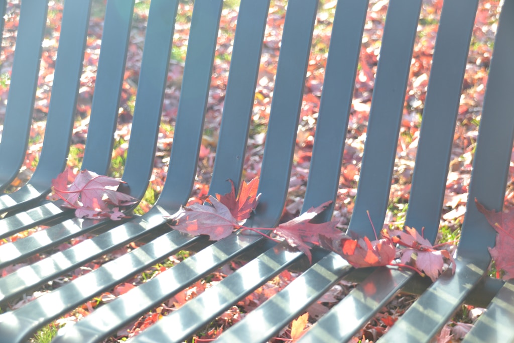 Red Autumn Armor