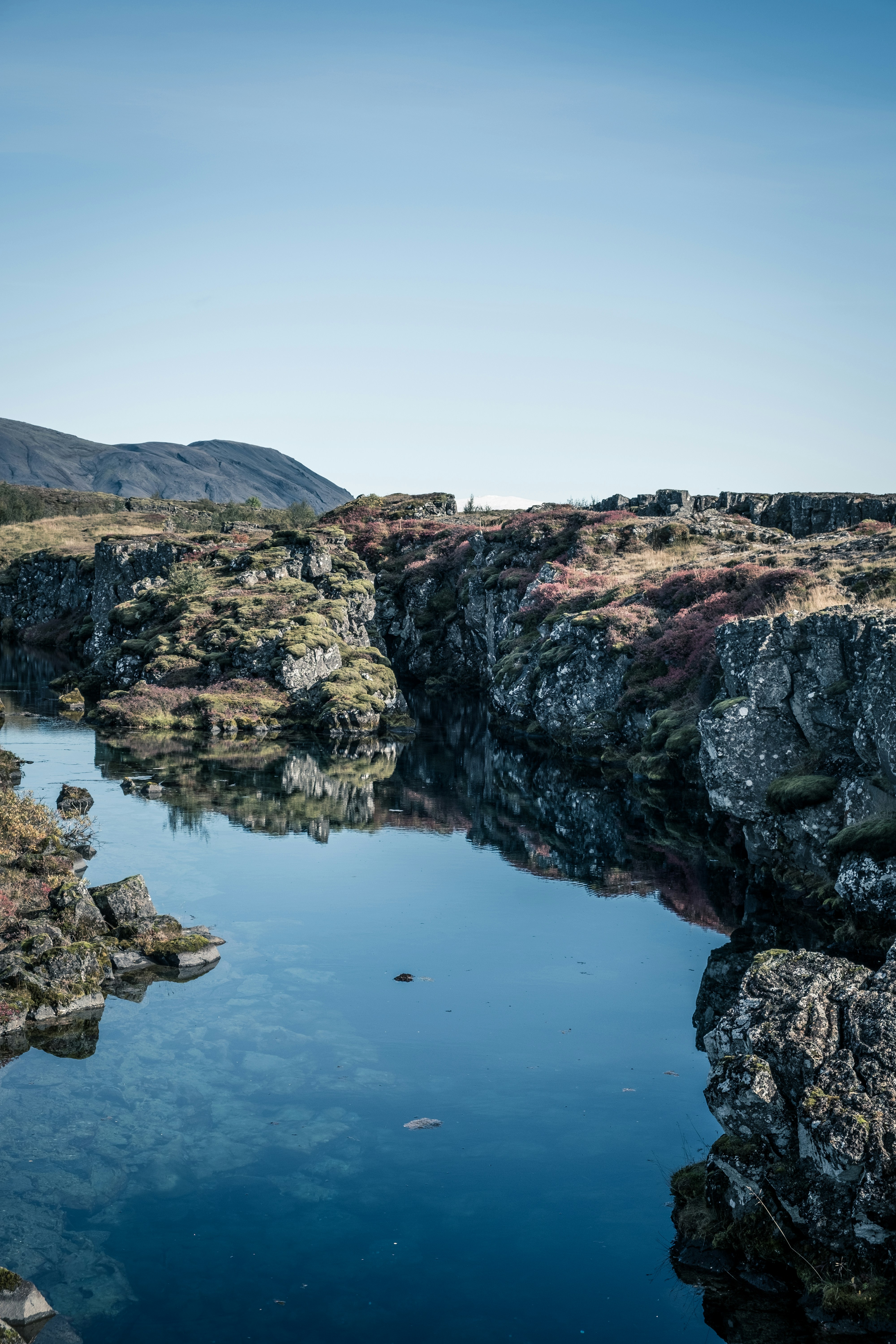 Photo by lanceanderson