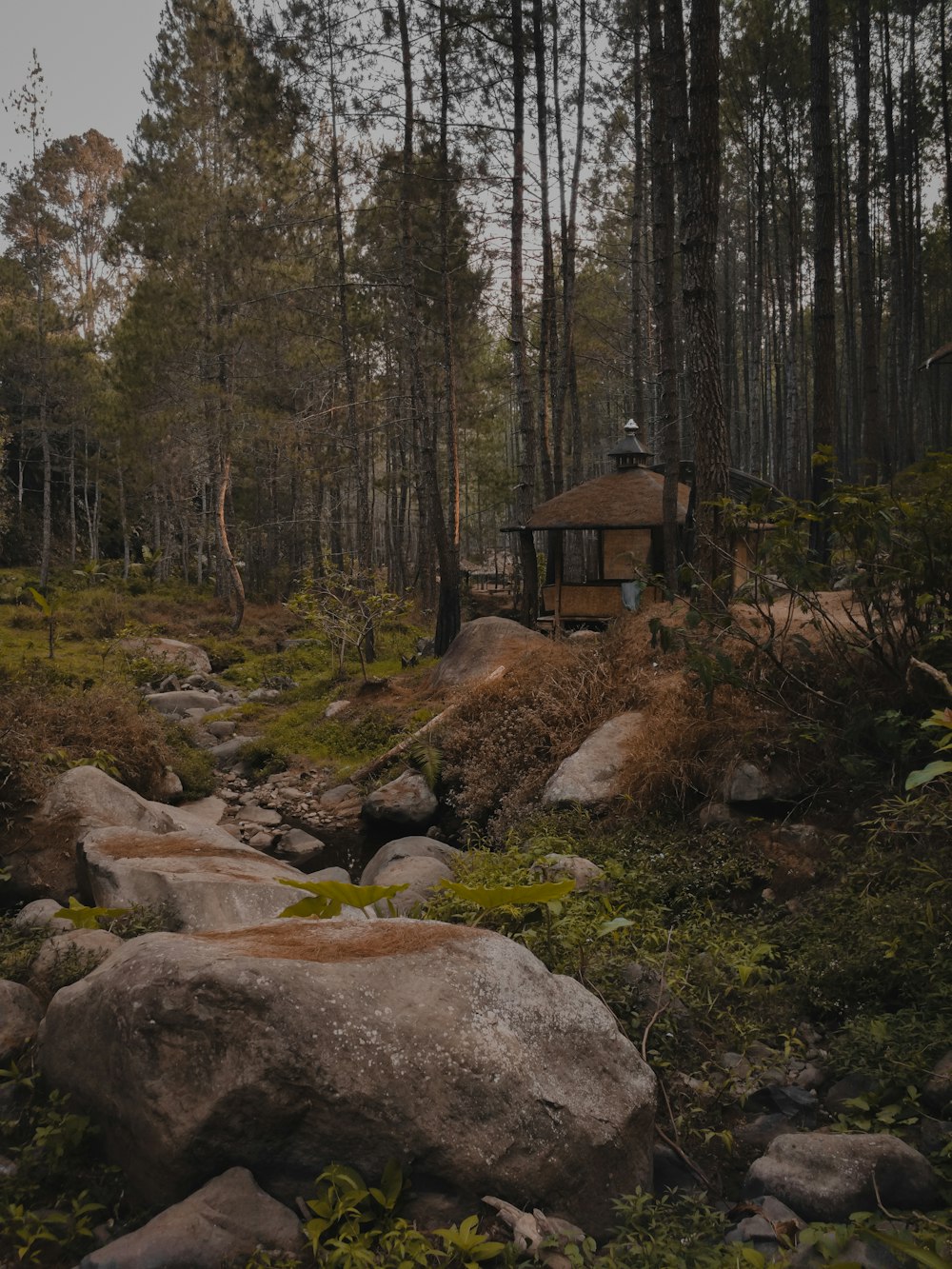 brown kiosk on the forest