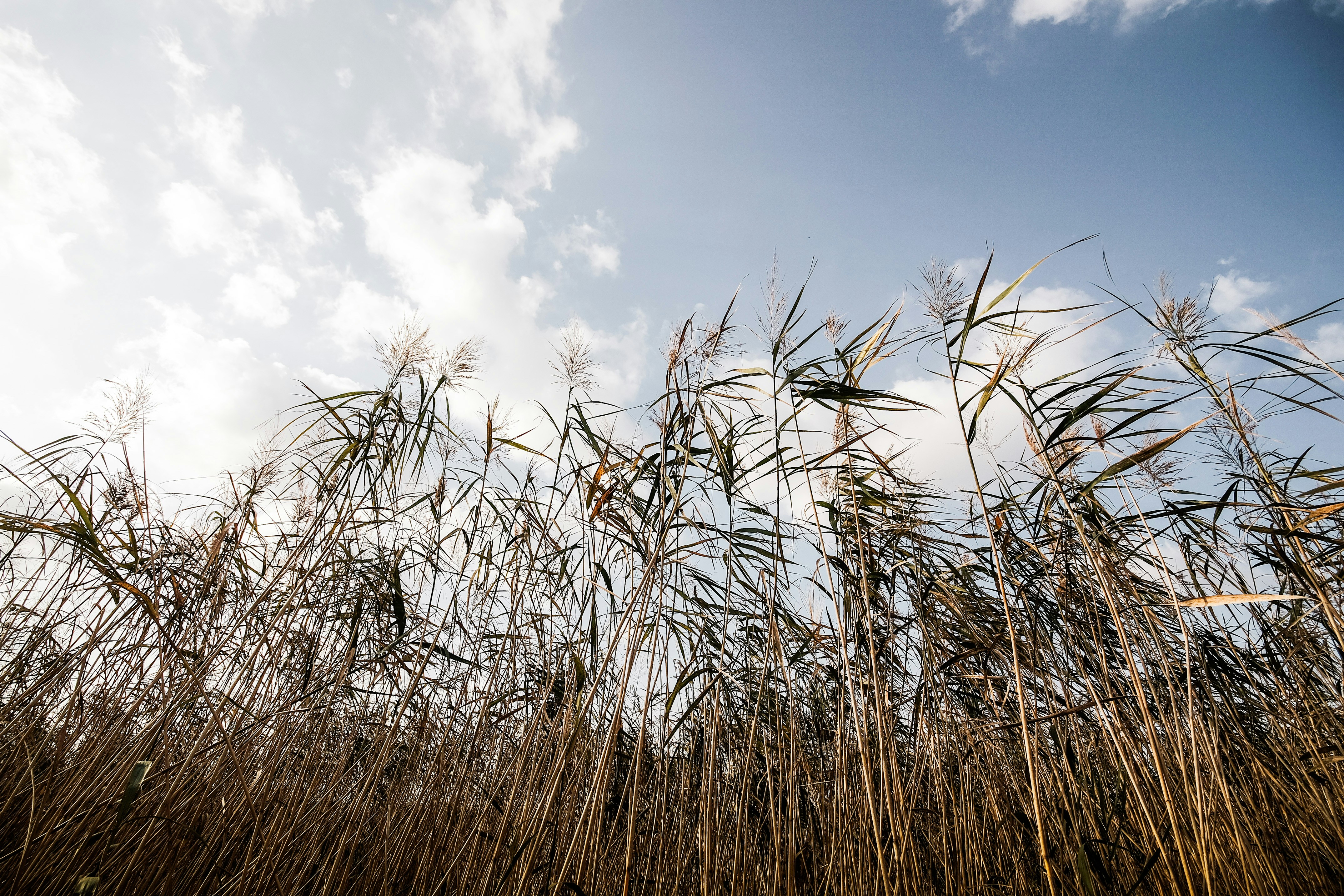 Photo by insungpandora