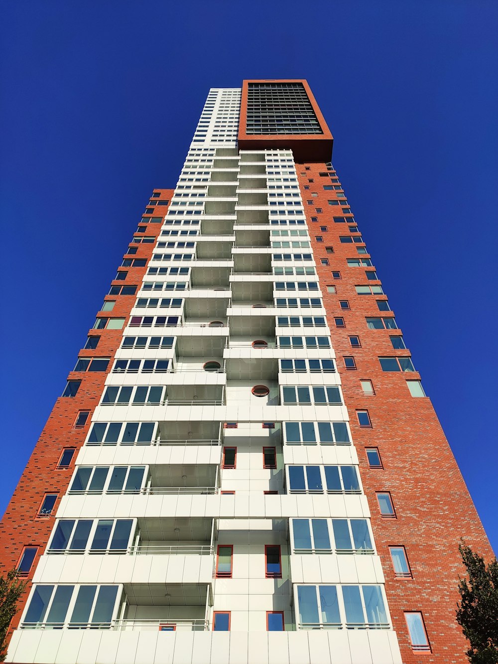 low-angle photography of white and orange high-rise building during daytime