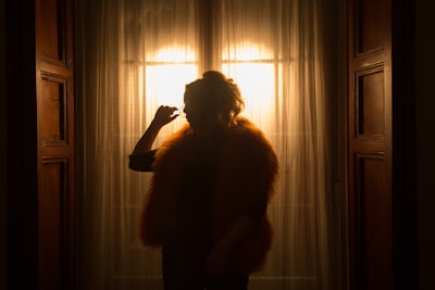 A silhouette of a person wearing a fur garment is seen standing against a bright, backlit window framed by partially open wooden doors. The warm light creates a dramatic contrast and emphasizes the texture of the fur.