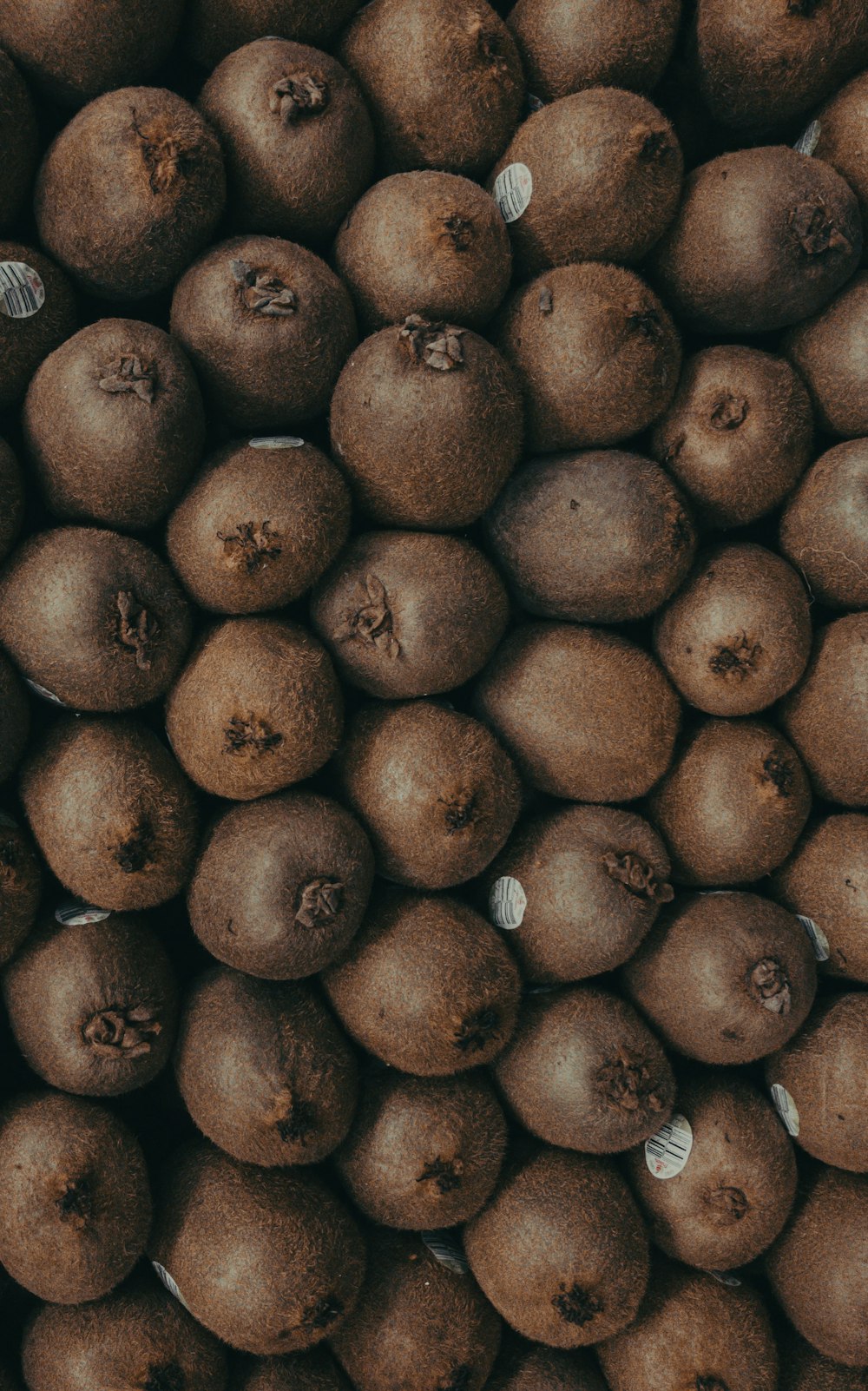 pile of kiwi fruits