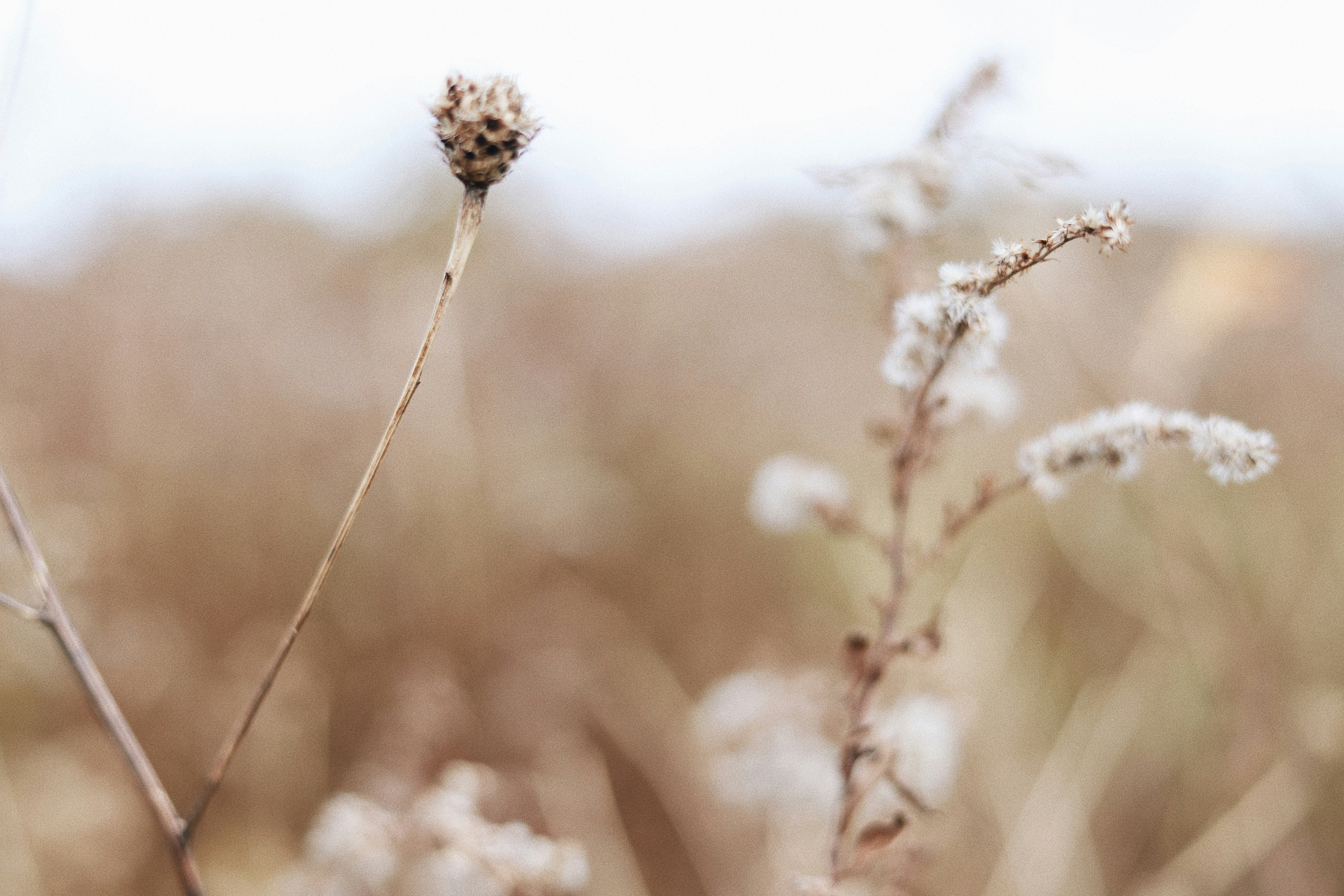 Photo by amyjoyhumphries