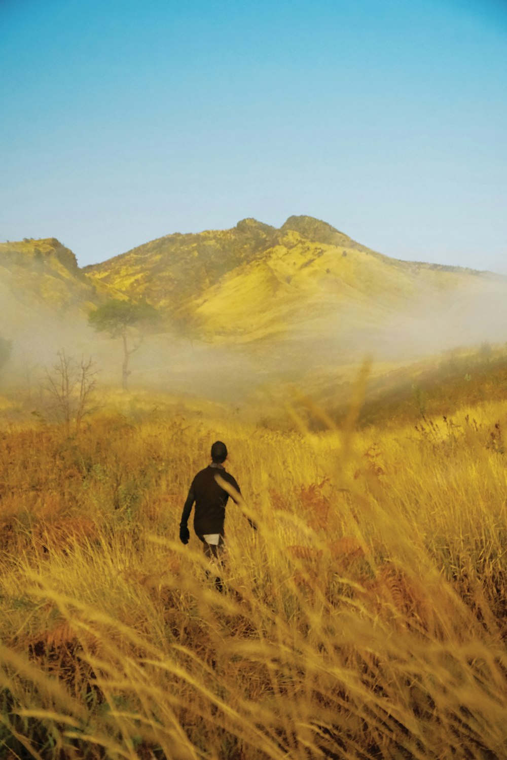 man walking on grass field