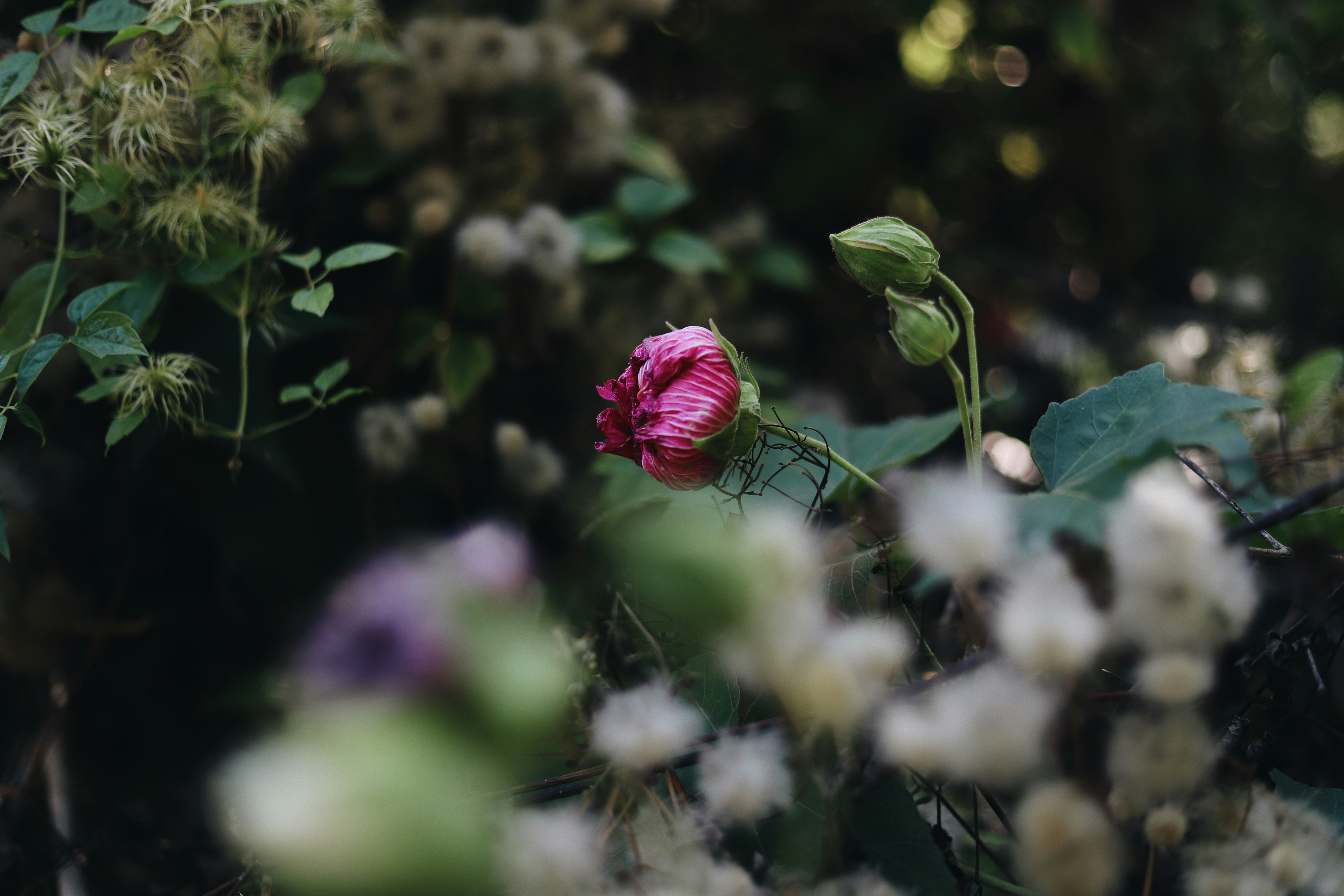 Photo by amyjoyhumphries