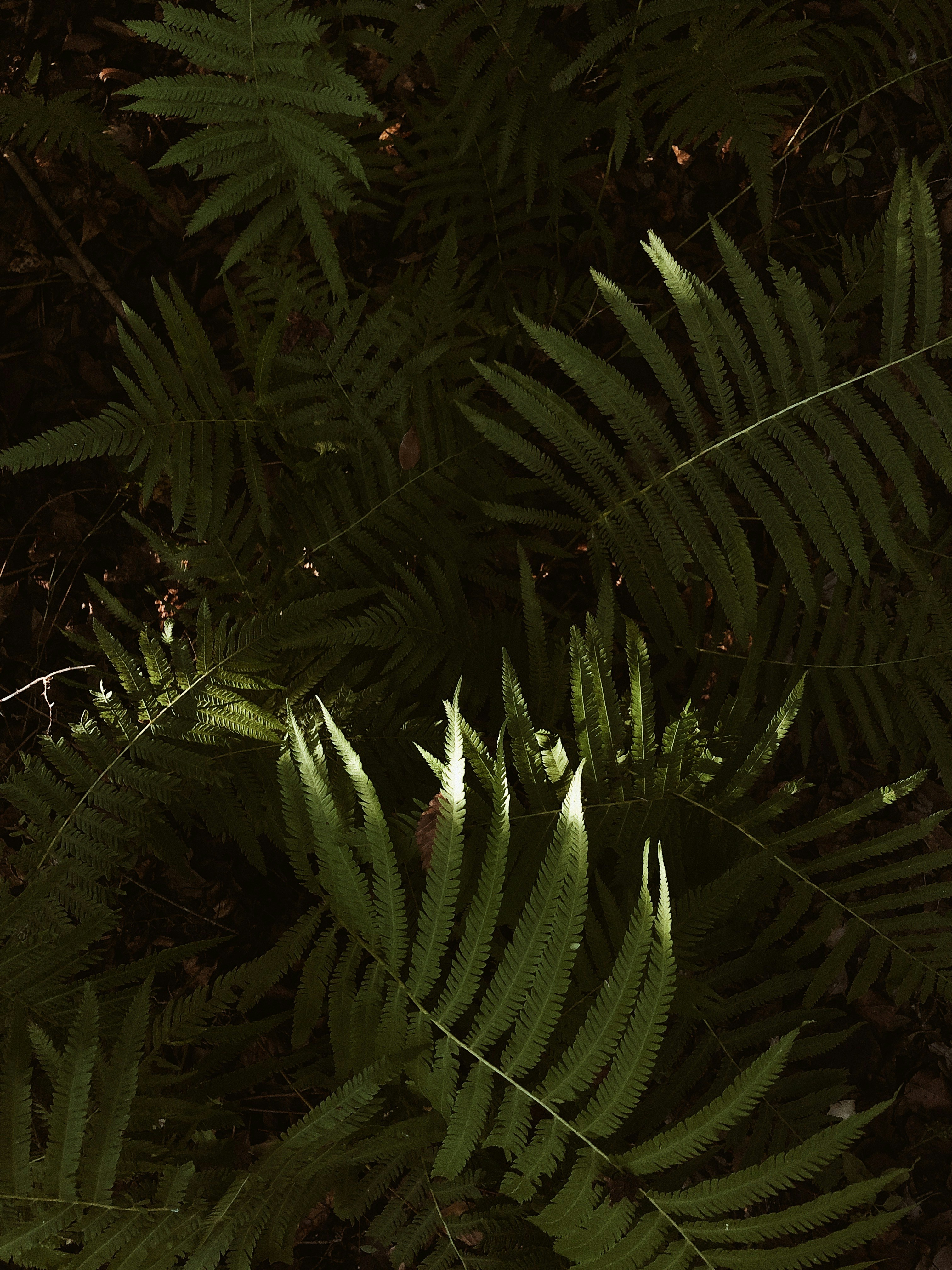 Photo by amyjoyhumphries