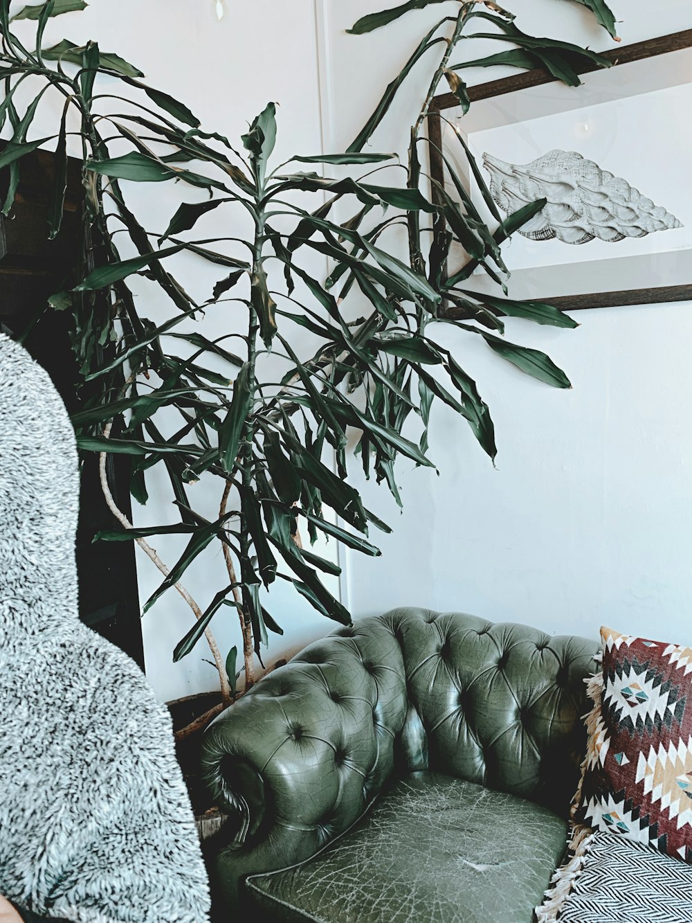 tufted green sofa near wall