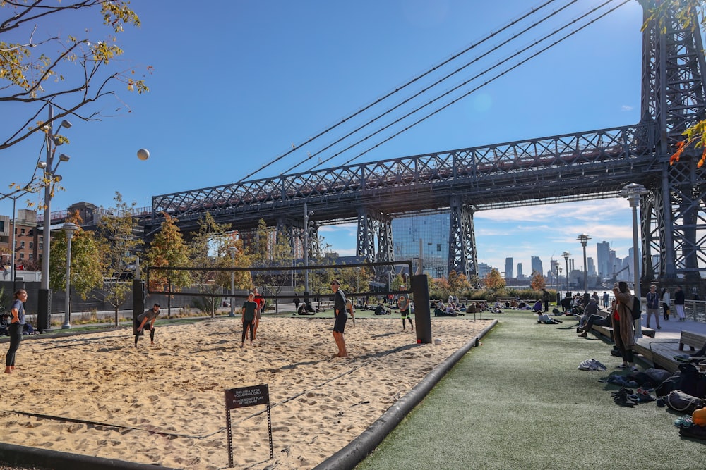 group of people paying volleyball