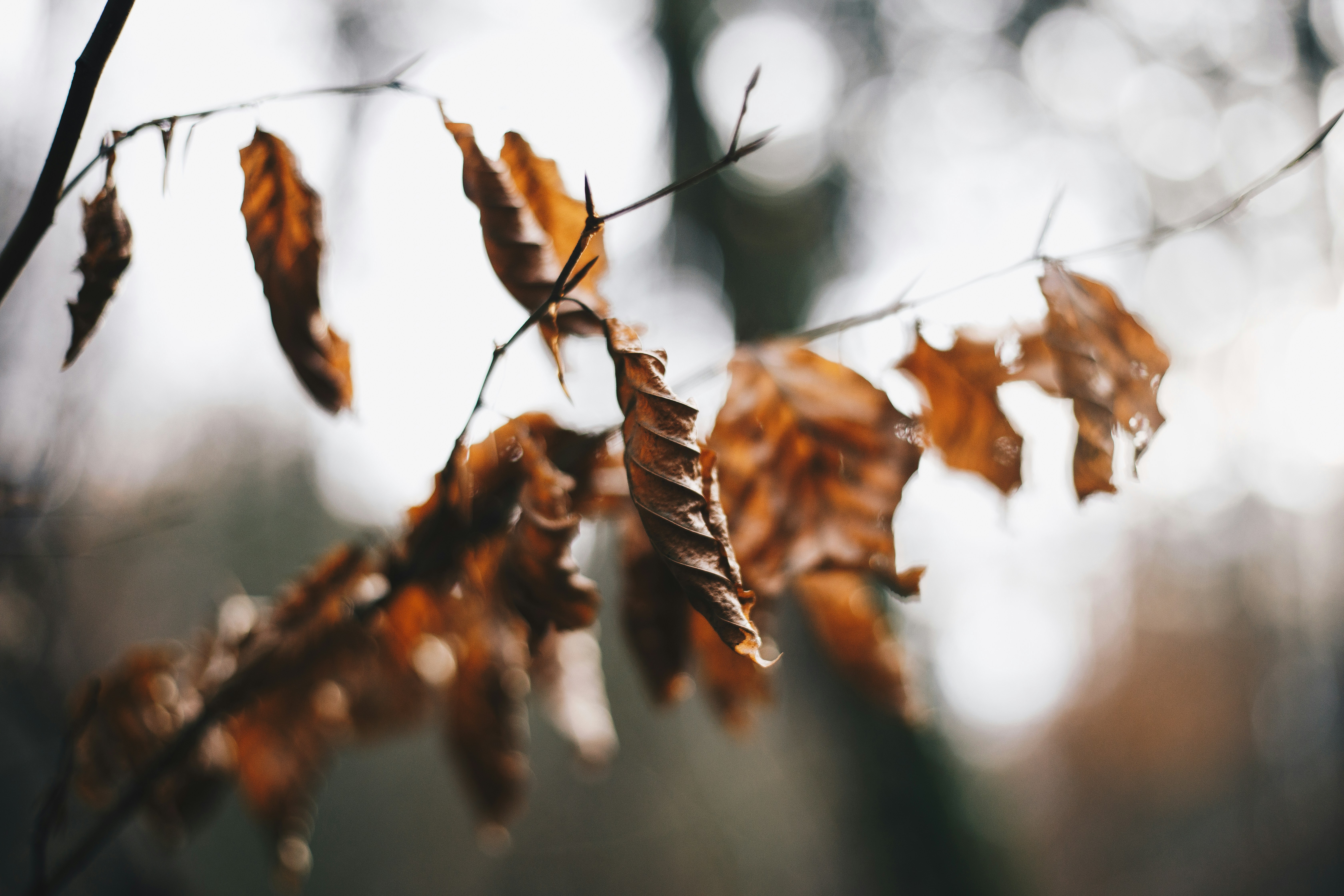 Photo by katrin_friedl_fotografie