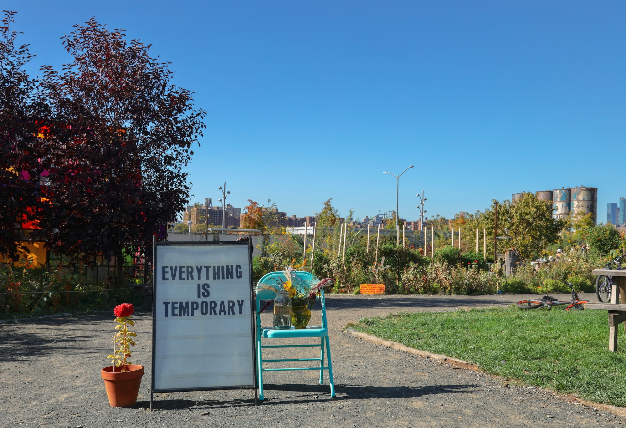 a sign reading "everything is temporary" next to a flower in a pot and a plant on a chair, on a gravel track in a park, with 
