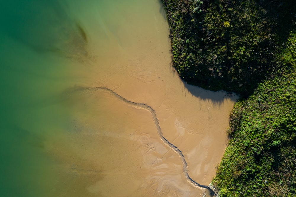 aerial photography of body of water during daytime