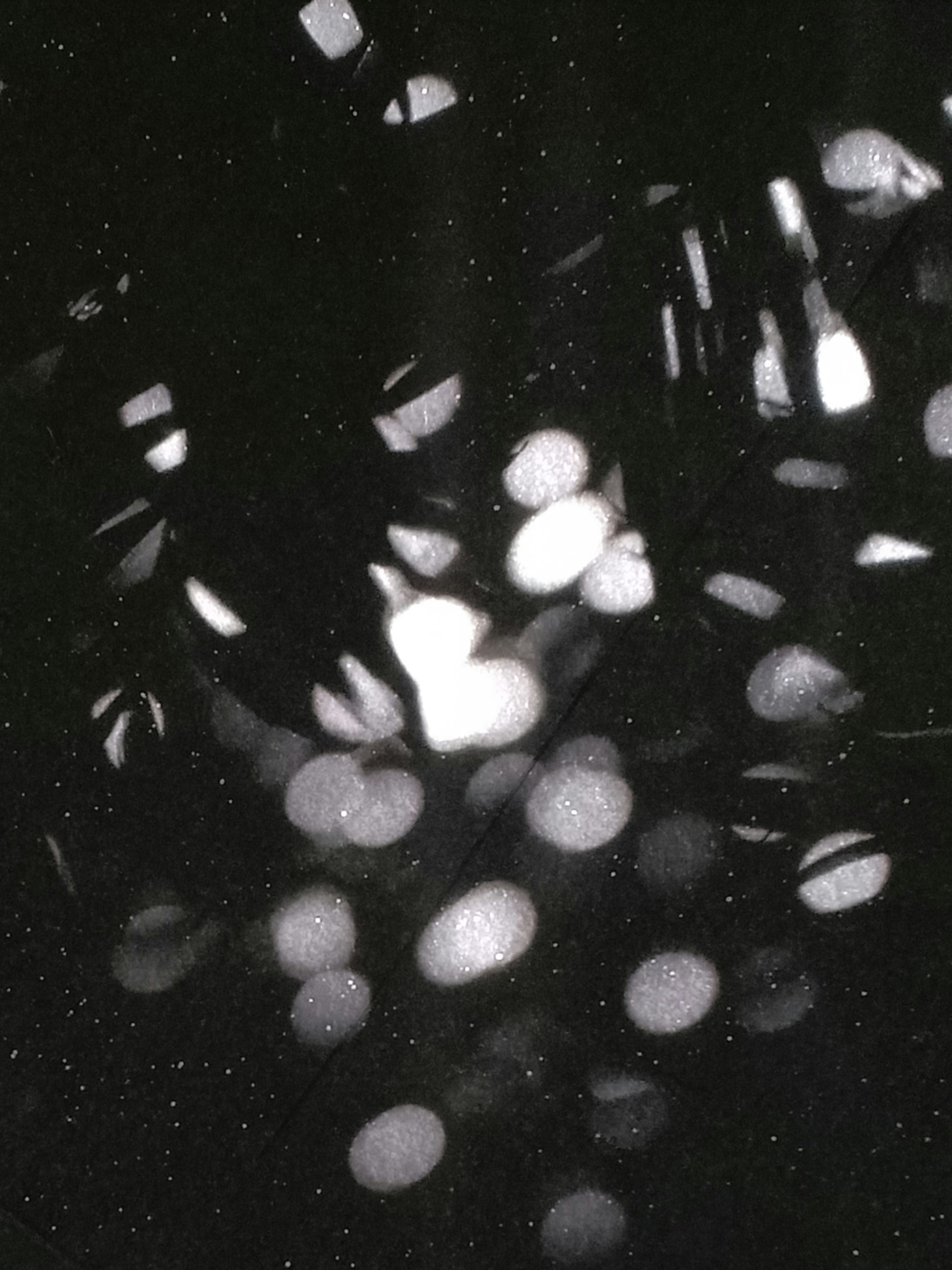 Photo by hybridnighthawk