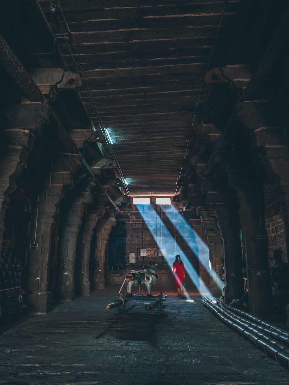 woman wearing red long-sleeved dress inside brown building interior