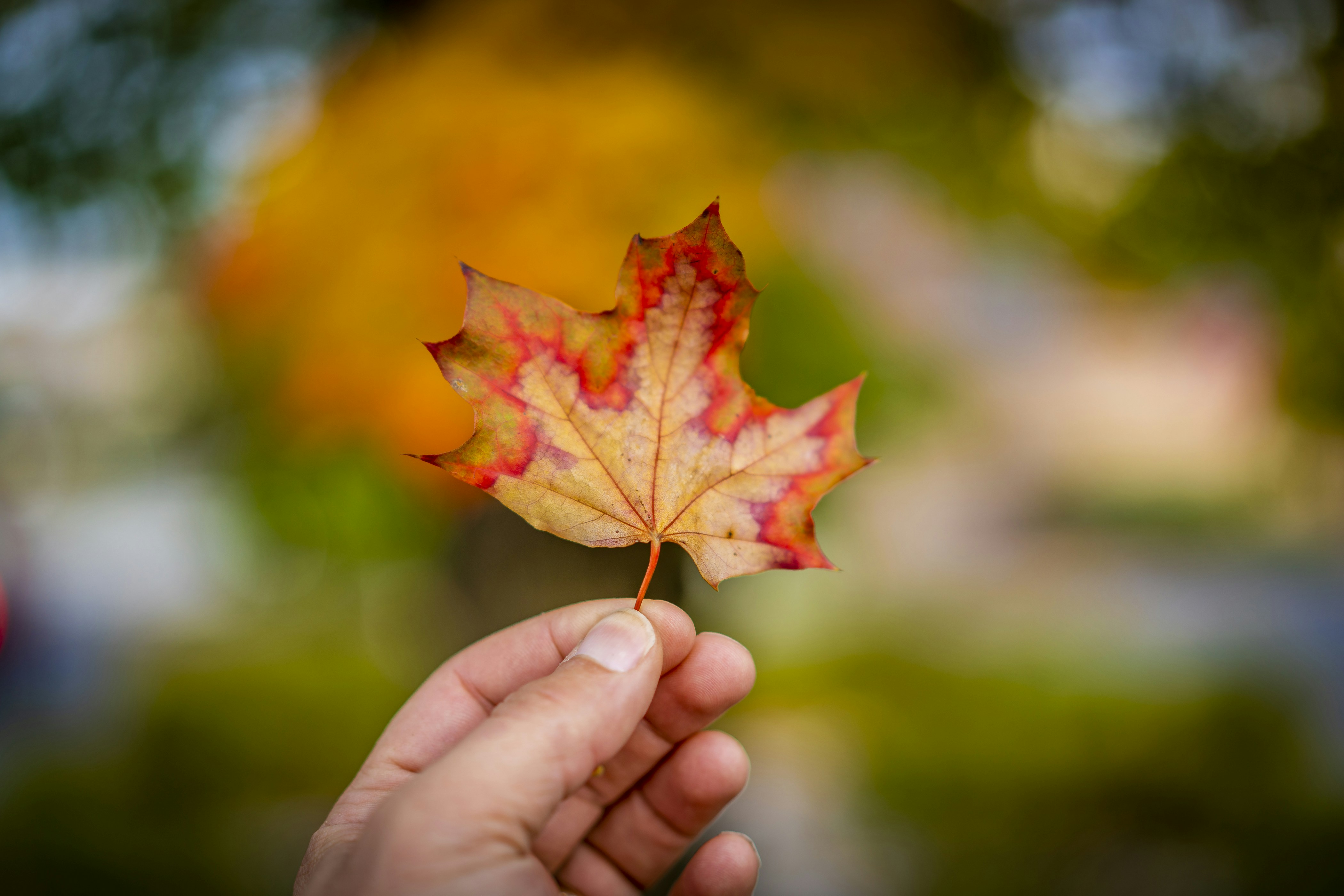 Photo by scottsayers