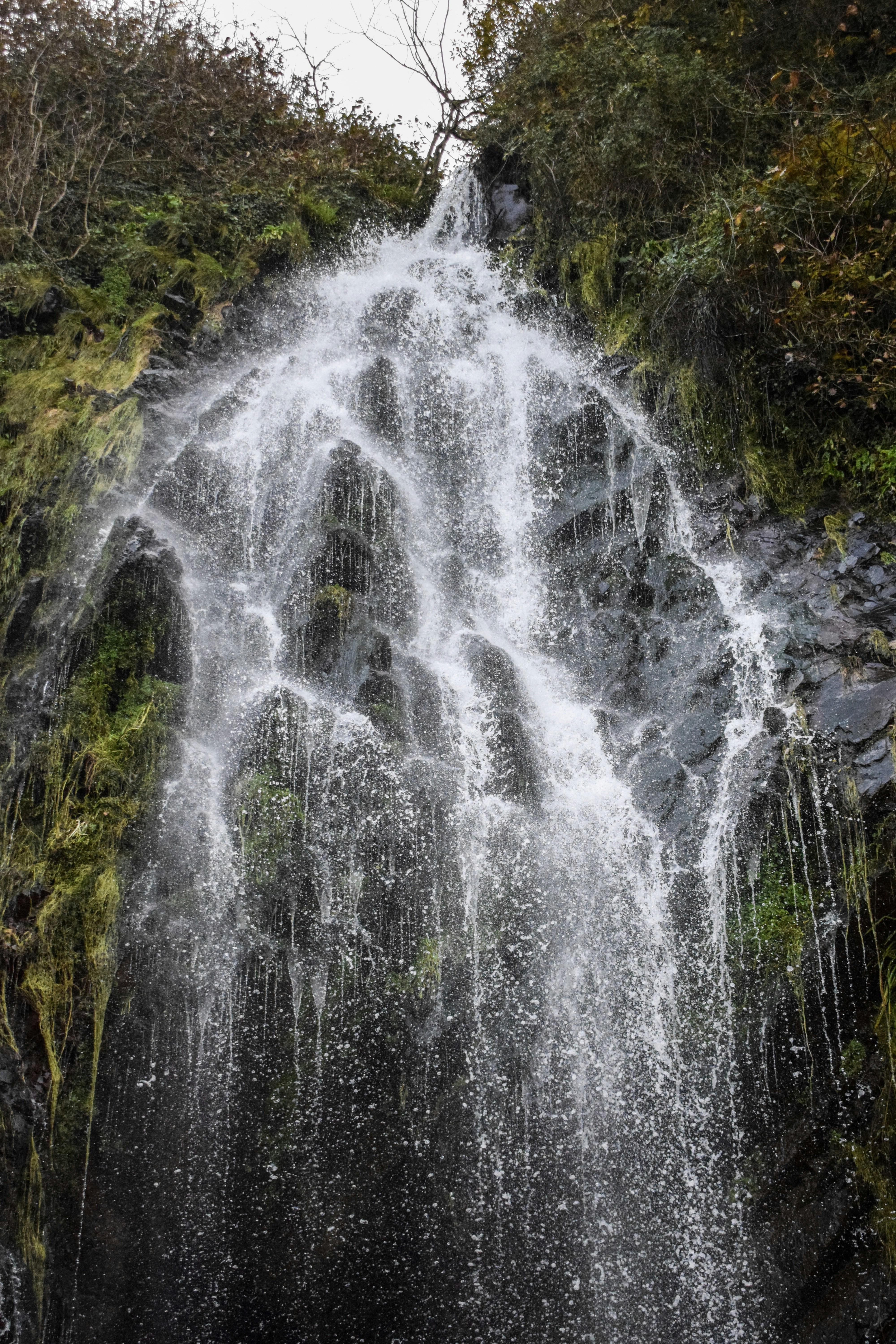 Photo by taylor_cowling_photos