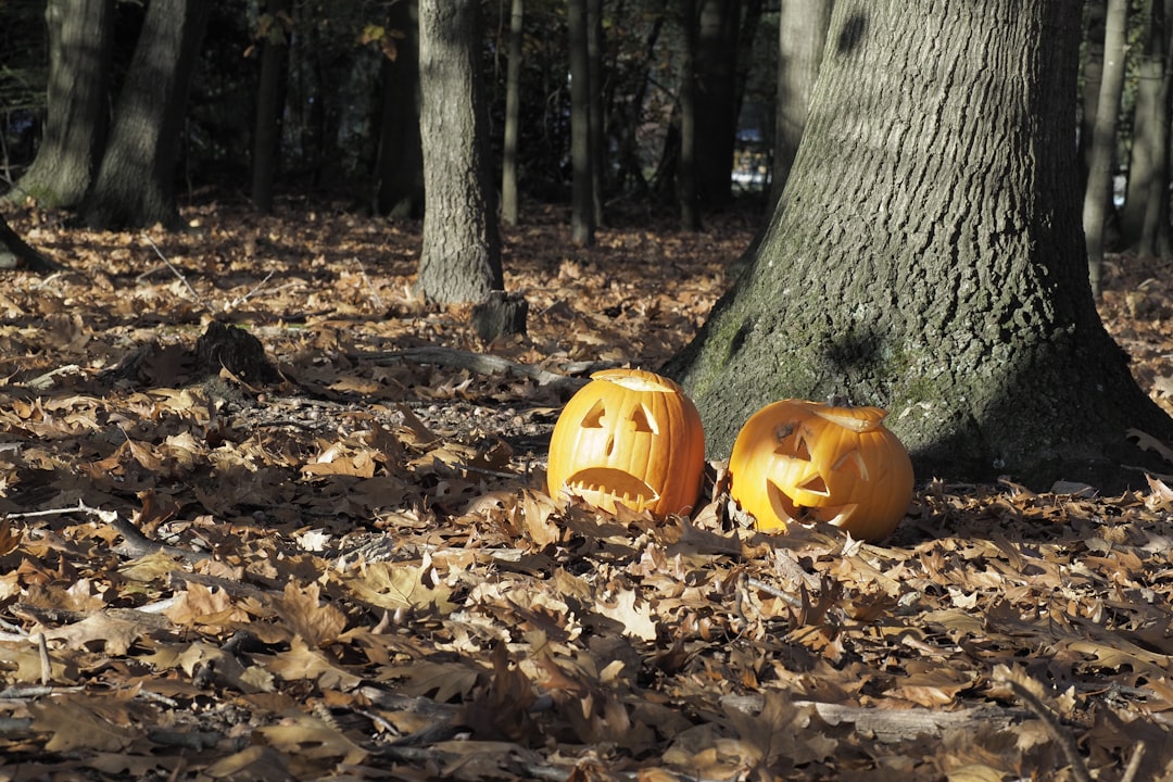 pumpkin décor