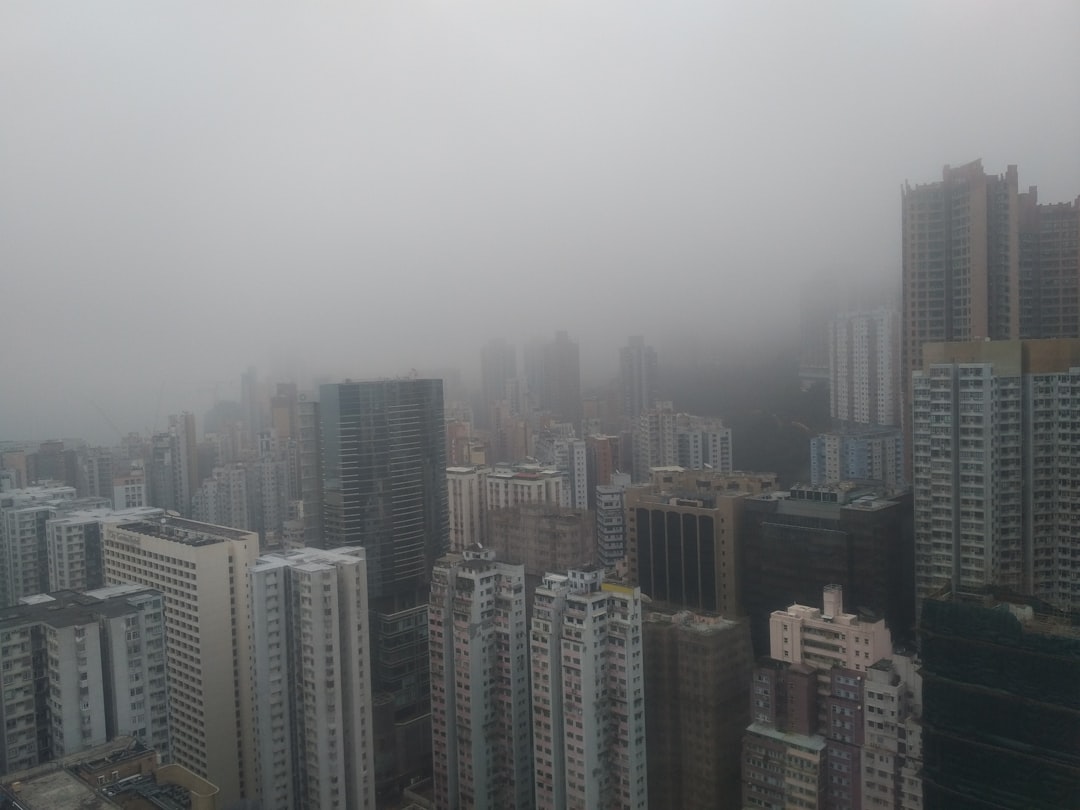 foggy city building scenery