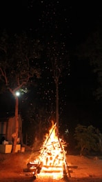 Bonfire setup outside rooms surrounded by forest, glowing warmly against the night sky.