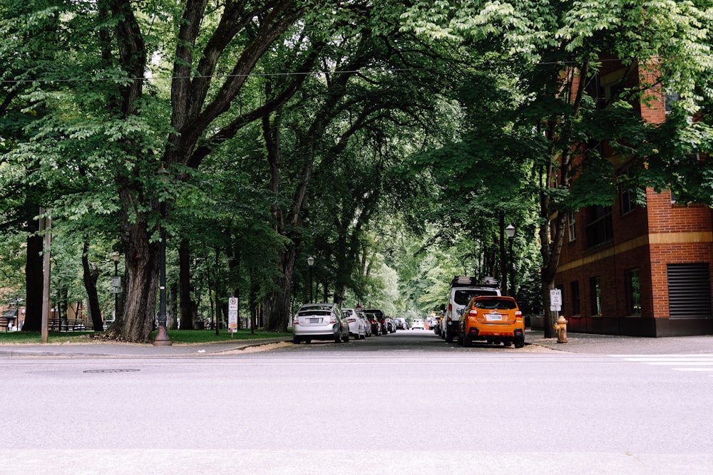 parked cars beside road