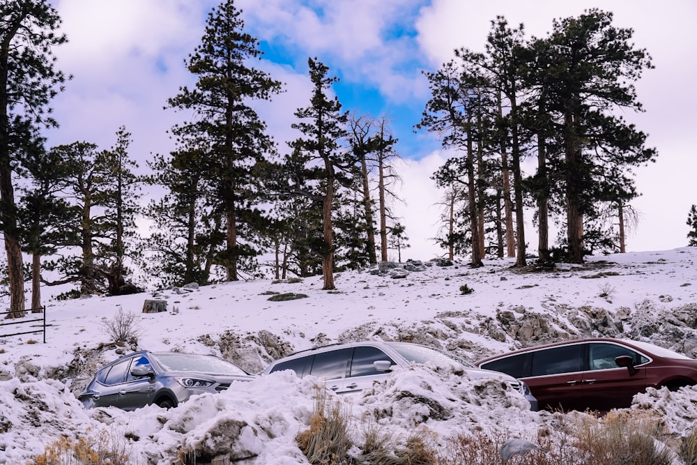 three cars parked by snow covered slope during daytime