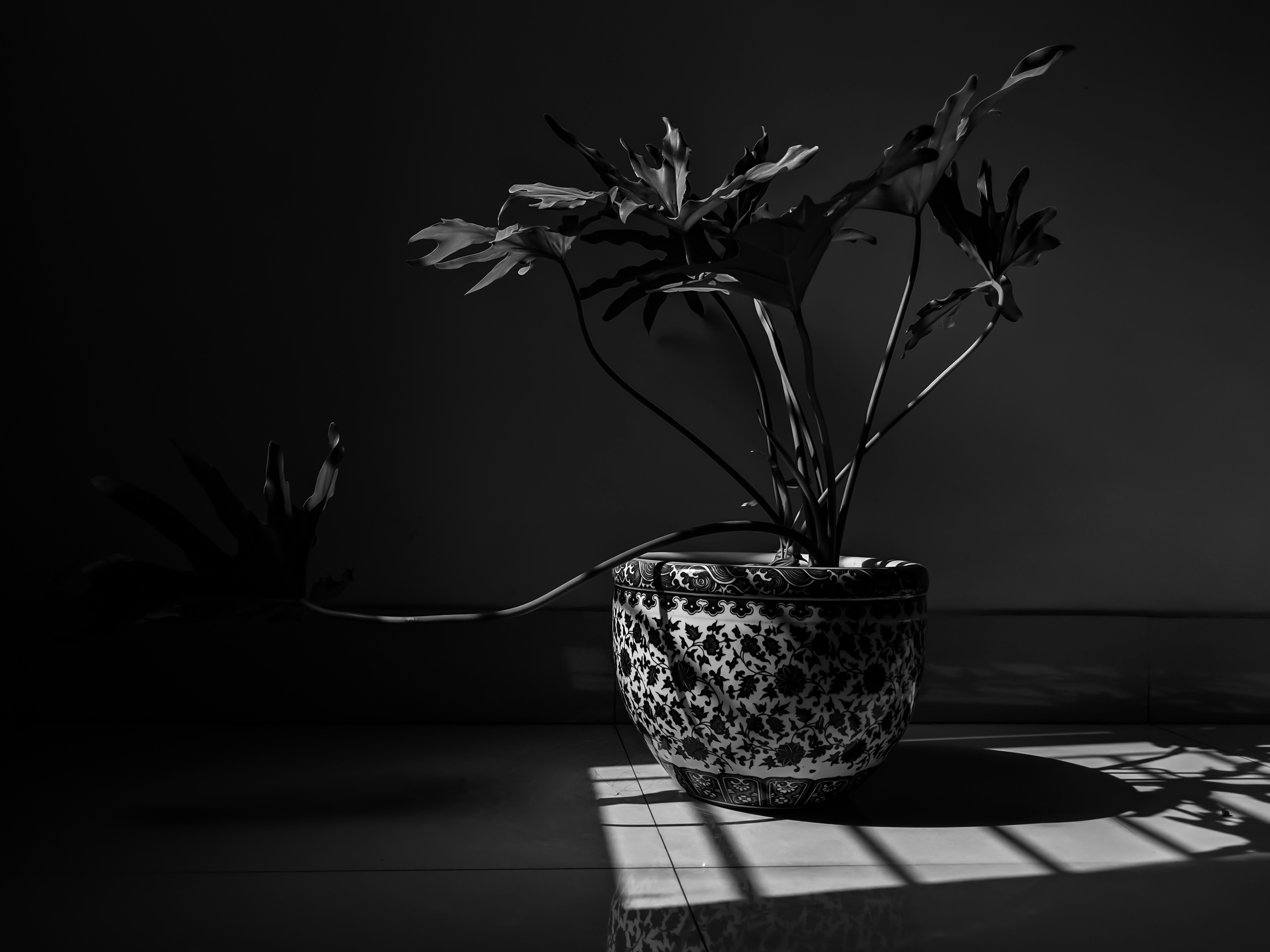 Photo by aditya_pi2xl