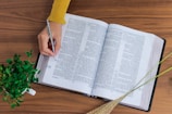 Close-up of an open book with handwritten notes beside a small potted plant on a minimalist white table.