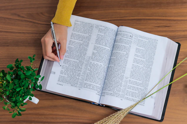 An open book with simple handwritten notes beside a small plant growing in sunlight.