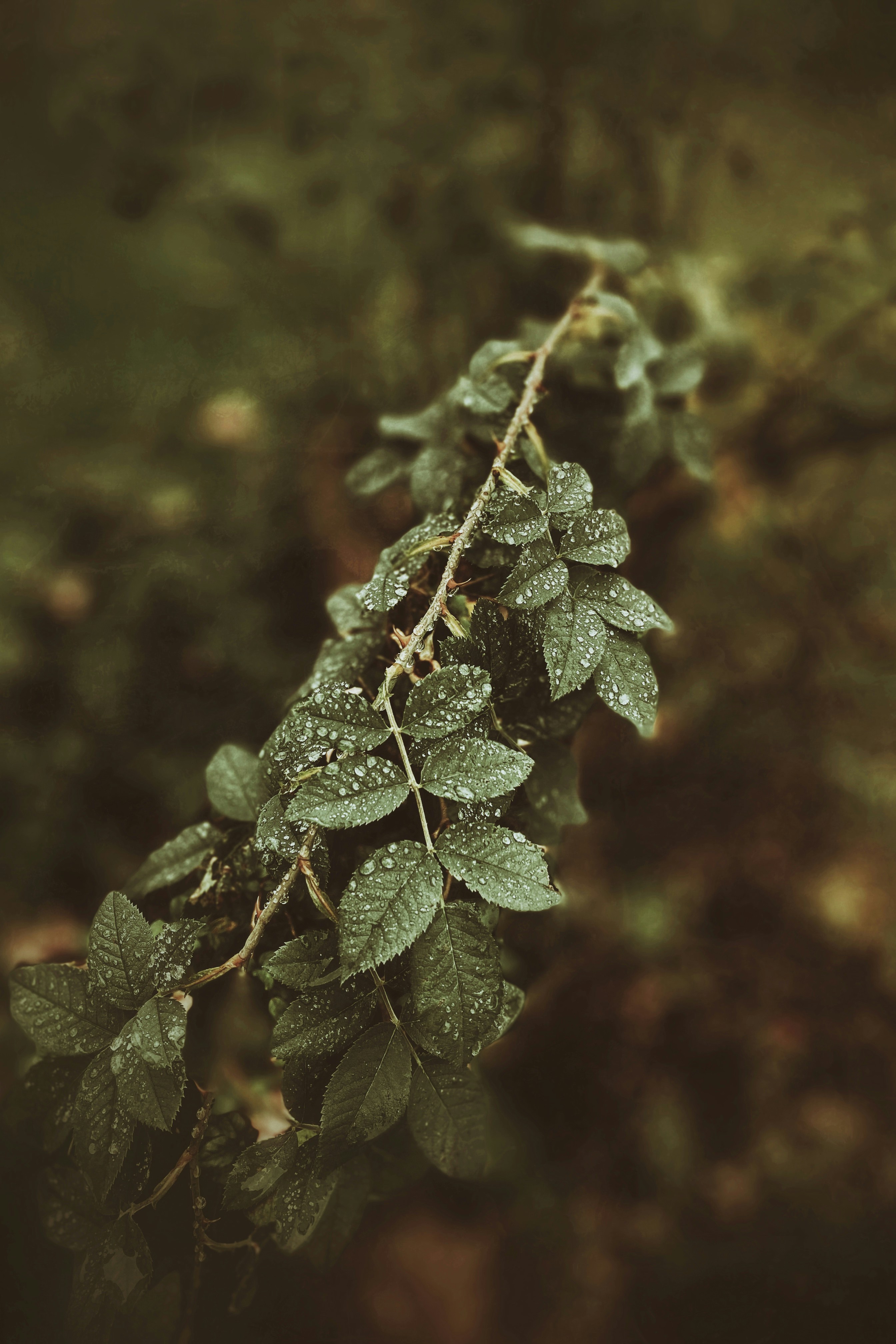 Photo by theusualblog
