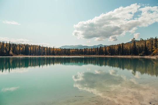 landscape photography of reflection of trees on body of water in British Columbia Canada