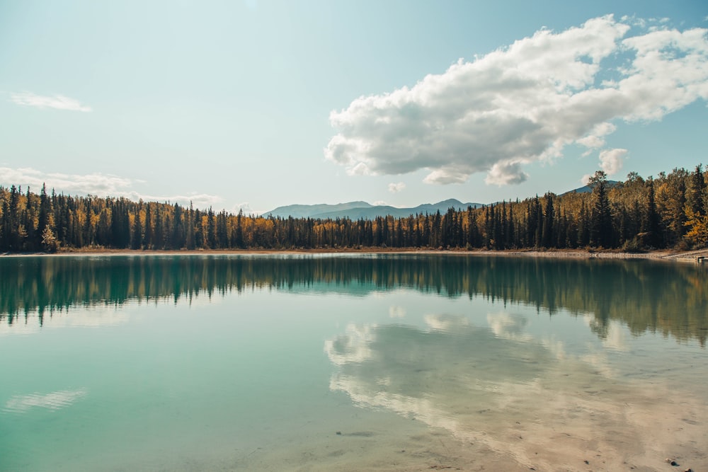 landscape photography of reflection of trees on body of water