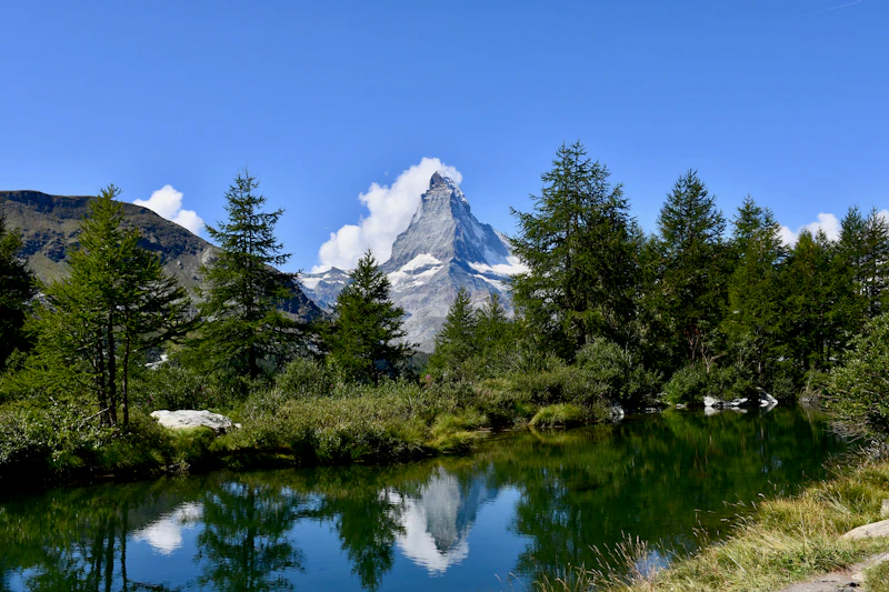 Green summer trees beneath the Matterhorn above Zermatt