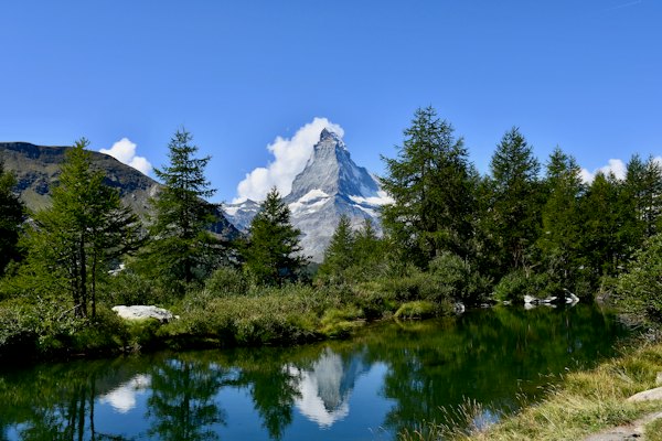 Green-leafed trees during daytime — Zermatt, Switzerland
