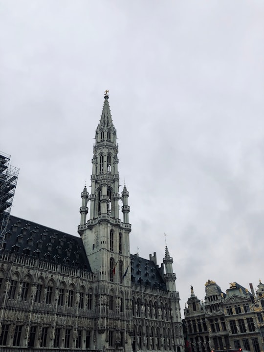 white and gray concrete building in Grand Place, Brussels Town Hall Belgium