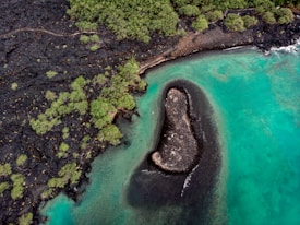 Aerial view of a coastline featuring vibrant turquoise waters and a black lava rock formation. The rocky area is surrounded by patches of green vegetation, contrasting with the dark stone. A peculiar oval-shaped protuberance extends into the water, forming an intriguing natural shape.